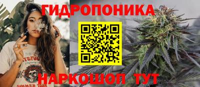 стафф Моздок