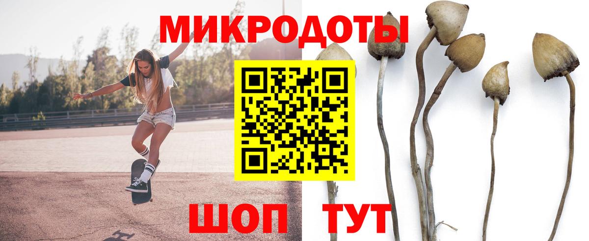 Галлюциногенные грибы Magic Shrooms  Галлюциногенные грибы Psilocybine cubensis  Вход с VPN  Чапаевск 